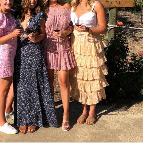 MISA Los Angeles X REVOLVE Darla Dress - Pink Floral - Picture 5 of 7